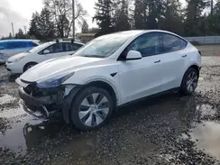 7SAYGDEE2PF687314 2023 TESLA MODEL Y