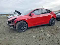 7SAYGDEE2PF693260 2023 TESLA MODEL Y