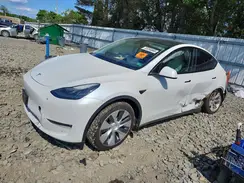 7SAYGDEE2PF703107 2023 TESLA MODEL Y