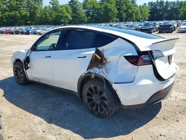 7SAYGDEE2PF851533 2023 TESLA MODEL Y - Image 2