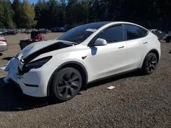 7SAYGDEE2PF878117 2023 TESLA MODEL Y