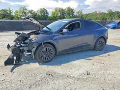 7SAYGDEE2RA243575 2024 TESLA MODEL Y