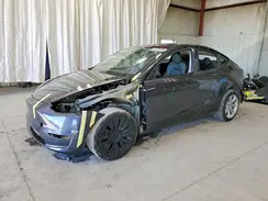 7SAYGDEE2RA254981 2024 TESLA MODEL Y