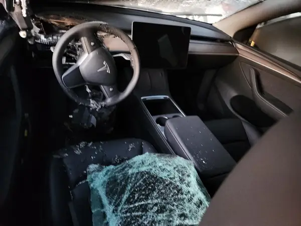 7SAYGDEE2RF031343 2024 TESLA MODEL Y - Image 8