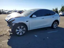 7SAYGDEE2RF057893 2024 TESLA MODEL Y