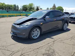 7SAYGDEE2RF059384 2024 TESLA MODEL Y