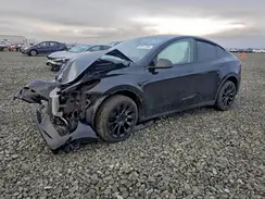 7SAYGDEE2RF163745 2024 TESLA MODEL Y