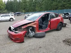 7SAYGDEE2SF281526 2025 TESLA MODEL Y