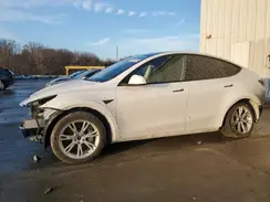 7SAYGDEE3NF320161 2022 TESLA MODEL Y