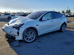 7SAYGDEE3PA032060 2023 TESLA MODEL Y