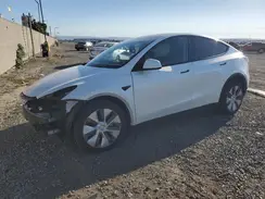 7SAYGDEE3PA036898 2023 TESLA MODEL Y
