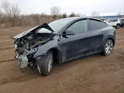 7SAYGDEE3PA090329 2023 TESLA MODEL Y