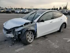 7SAYGDEE3PA097555 2023 TESLA MODEL Y
