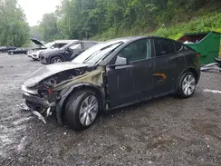 7SAYGDEE3PA184355 2023 TESLA MODEL Y