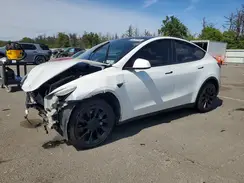7SAYGDEE3PA196358 2023 TESLA MODEL Y