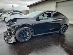 7SAYGDEE3PF589568 2023 TESLA MODEL Y