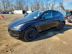 7SAYGDEE3PF607258 2023 TESLA MODEL Y