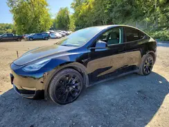 7SAYGDEE3PF613397 2023 TESLA MODEL Y