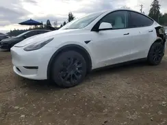 7SAYGDEE3PF626571 2023 TESLA MODEL Y