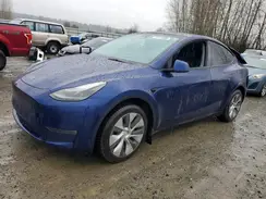 7SAYGDEE3PF661367 2023 TESLA MODEL Y