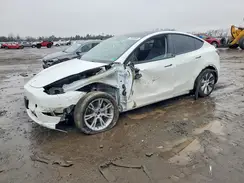 7SAYGDEE3PF700488 2023 TESLA MODEL Y
