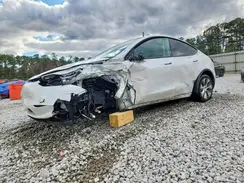 7SAYGDEE3PF702306 2023 TESLA MODEL Y