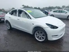 7SAYGDEE3PF703116 2023 TESLA MODEL Y