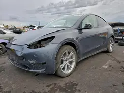 7SAYGDEE3PF714262 2023 TESLA MODEL Y