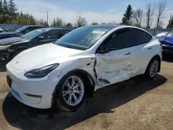7SAYGDEE3PF772663 2023 TESLA MODEL Y