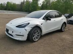 7SAYGDEE3PF775207 2023 TESLA MODEL Y