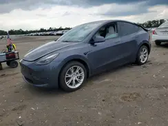 7SAYGDEE3PF801143 2023 TESLA MODEL Y