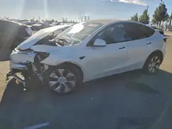 7SAYGDEE3PF816905 2023 TESLA MODEL Y