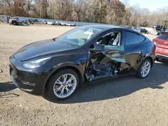 7SAYGDEE3PF862380 2023 TESLA MODEL Y
