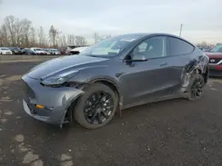 7SAYGDEE3PF905891 2023 TESLA MODEL Y