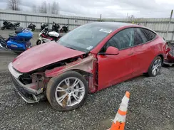 7SAYGDEE3PF938566 2023 TESLA MODEL Y