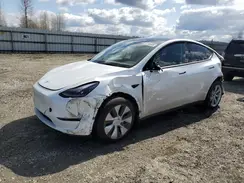 7SAYGDEE3PF966948 2023 TESLA MODEL Y