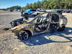 7SAYGDEE3RA254455 2024 TESLA MODEL Y