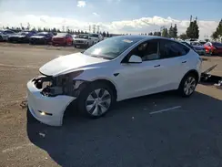 7SAYGDEE3RA261633 2024 TESLA MODEL Y