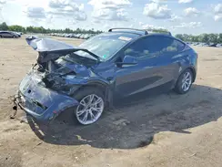 7SAYGDEE3RA263446 2024 TESLA MODEL Y