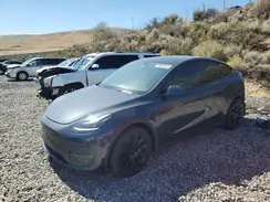 7SAYGDEE3RF025549 2024 TESLA MODEL Y