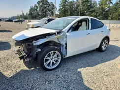 7SAYGDEE3RF075495 2024 TESLA MODEL Y
