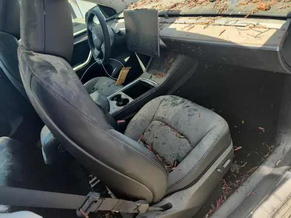 7SAYGDEE3RF128874 2024 TESLA MODEL Y - Image 8