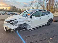 7SAYGDEE3SF243870 2025 TESLA MODEL Y