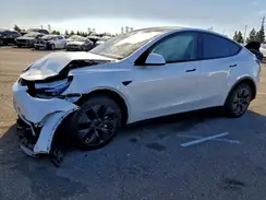 7SAYGDEE3SF255582 2025 TESLA MODEL Y