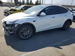 7SAYGDEE3SF255680 2025 TESLA MODEL Y
