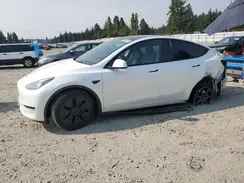7SAYGDEE3SF264038 2025 TESLA MODEL Y