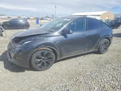 7SAYGDEE3SF281776 2025 TESLA MODEL Y
