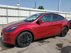 7SAYGDEE3SF303243 2025 TESLA MODEL Y