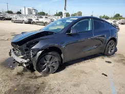7SAYGDEE3SF307261 2025 TESLA MODEL Y