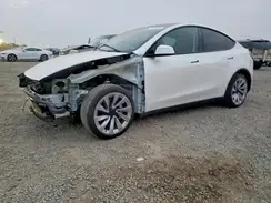 7SAYGDEE3TF353531 2026 TESLA MODEL Y